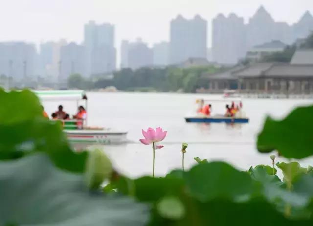 适合朋友圈芒种节气祝福语收获快乐，种下平安吉祥，  第15张