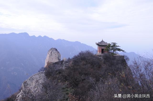 西安秦岭脚下小山村，赏腊梅花淡淡的腊梅花淡淡的清香  第12张