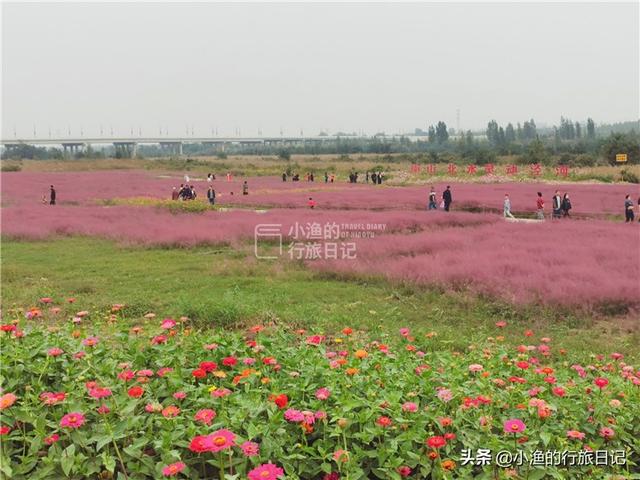 西安这条网红花海、主题乐园、主题乐园、民俗小镇全都有  第1张