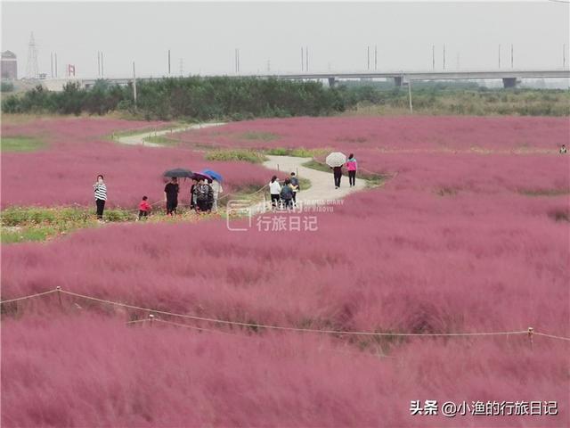 西安这条网红花海、主题乐园、主题乐园、民俗小镇全都有  第2张