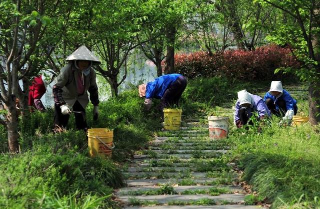 大庆市乡村振兴示范村：乡村振兴示范村建设  第12张