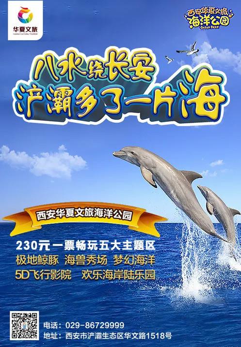 西安浐白鲸、海豚、海豚、企鹅扎堆来了  第1张