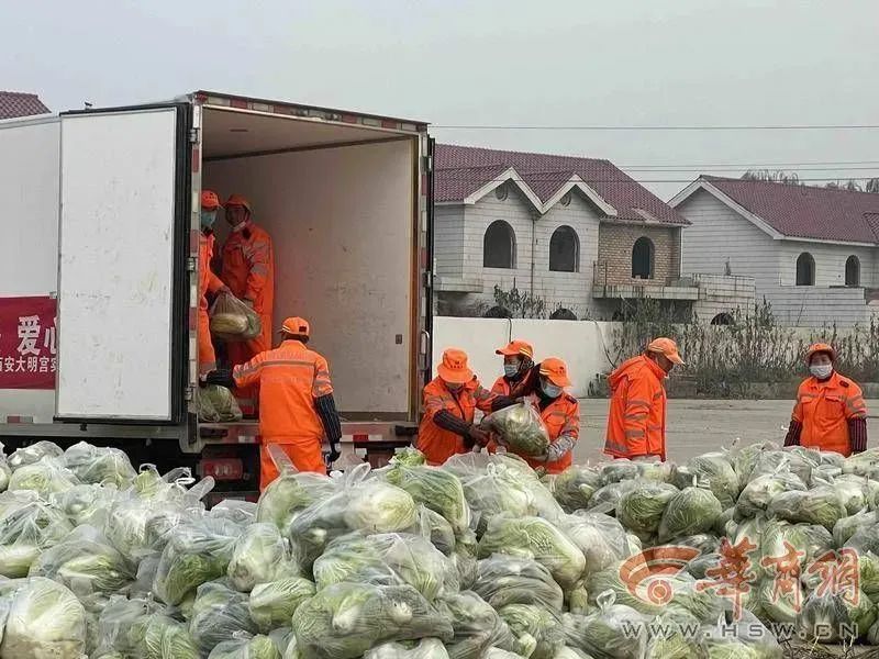 西安一企业购60万斤蔬菜免费送小区居民-第5张图片