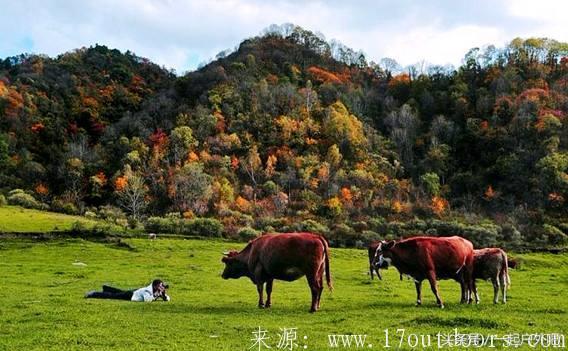 西安旅游攻略：西安露营攻略  第5张