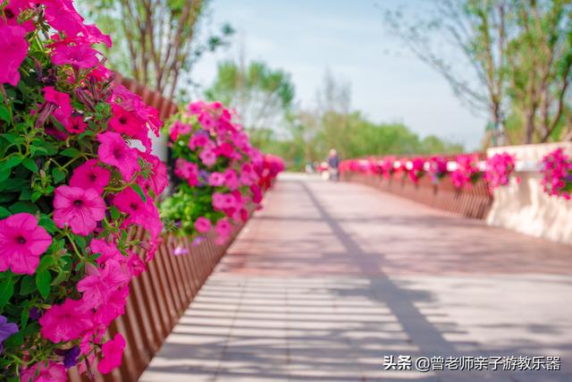 西安永安渠海绵城市公园，有儿童乐园，看看尼康色彩大片来袭  第6张