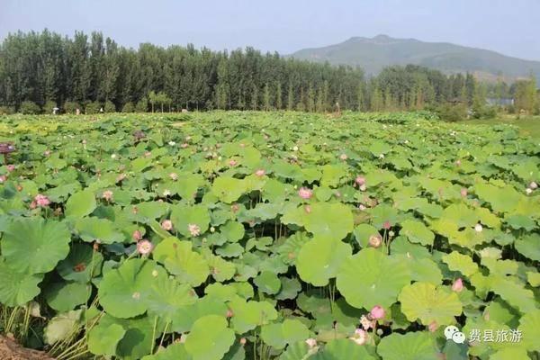 济南高铁沿线景区门票优惠  第23张