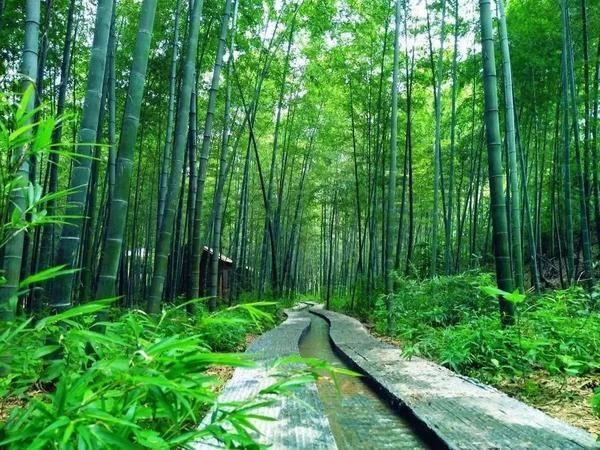 济南高铁沿线景区门票优惠  第48张