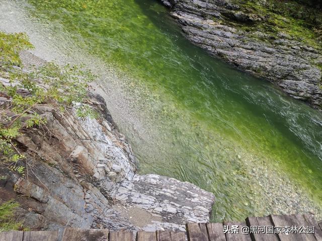 西安酷暑难耐，周末团建不知道去哪里？那就来水苑山庄！  第6张