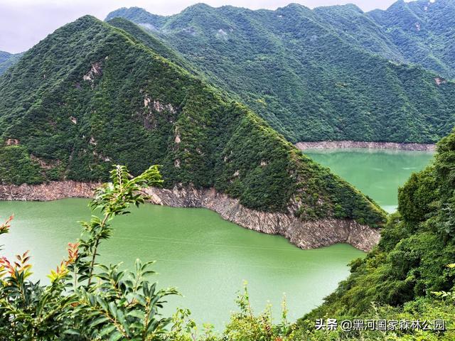 西安酷暑难耐，周末团建不知道去哪里？那就来水苑山庄！  第9张