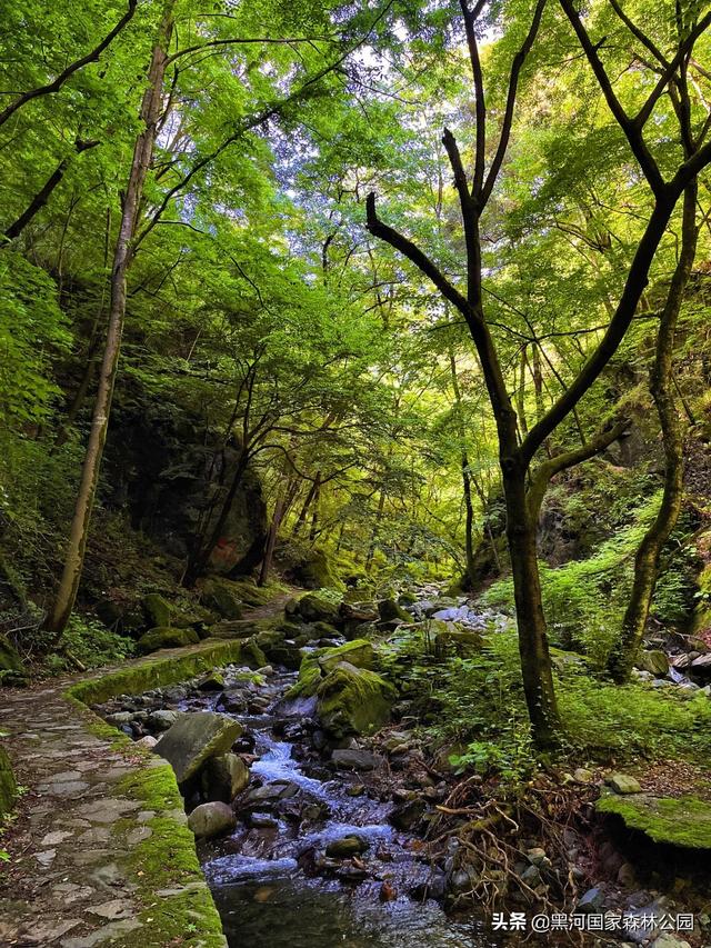 西安酷暑难耐，周末团建不知道去哪里？那就来水苑山庄！  第26张