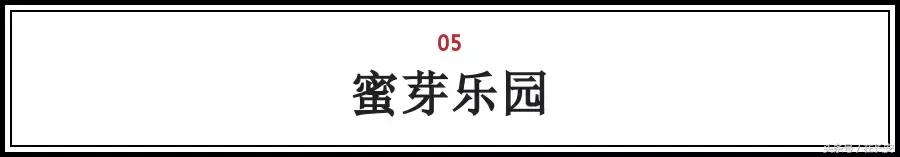 西安带孩子探险乐园（中大国际十三朝古迹非常多，因此很多人喜欢来西安旅游  第17张