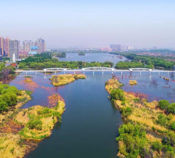 西安是个怎样的城市之一座高高在上的古老帝都是鲜活  第16张