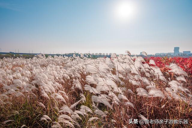 广东南岭旅游攻略  第203张