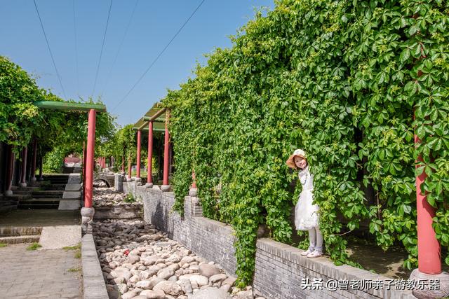 广东南岭旅游攻略  第275张