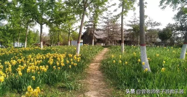 广东南岭旅游攻略  第353张