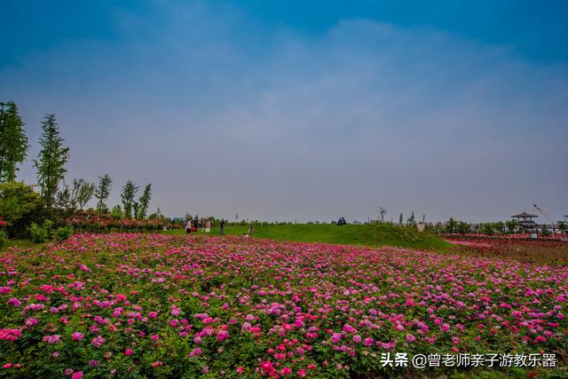 广东南岭旅游攻略  第269张