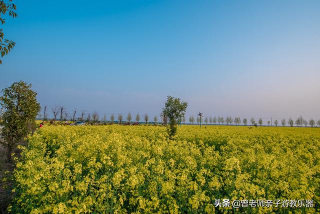 广东南岭旅游攻略  第325张