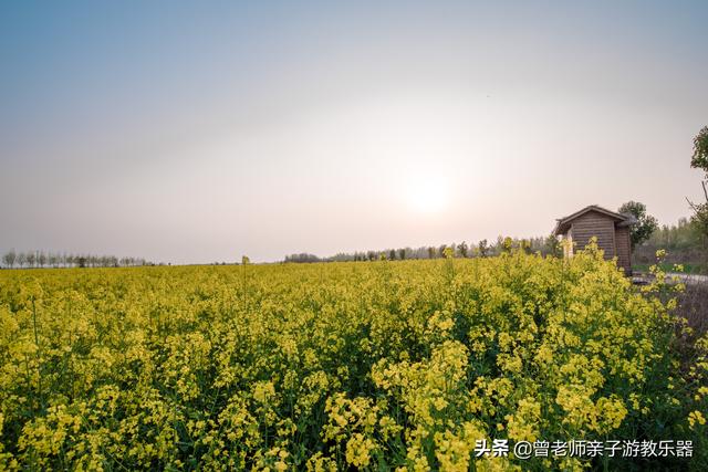 广东南岭旅游攻略  第329张