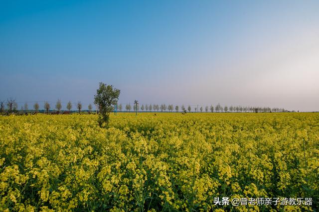 广东南岭旅游攻略  第326张