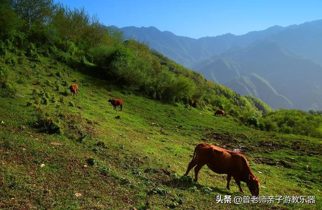 广东南岭旅游攻略  第391张