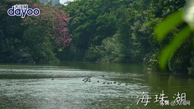 广州老字号~假期“游车河”攻略2元公交费跨两区  第6张