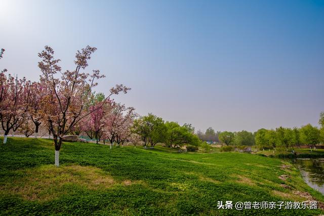 广东南岭旅游攻略  第11张