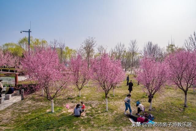 广东南岭旅游攻略  第181张