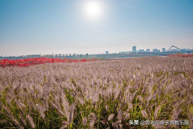 广东南岭旅游攻略  第202张