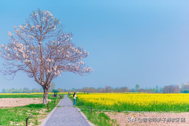 广东南岭旅游攻略  第252张