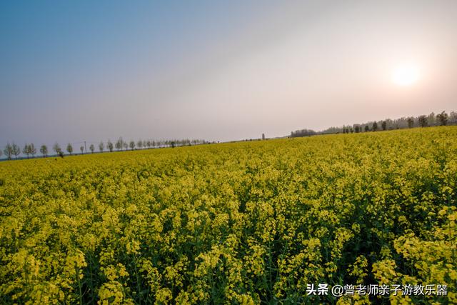 广东南岭旅游攻略  第328张