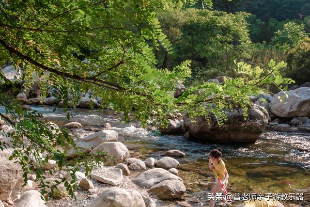 广东南岭旅游攻略  第388张