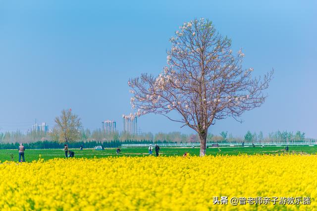 广东南岭旅游攻略  第251张