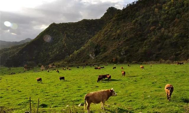 西安旅游攻略｜秦岭小镇，你不得不去的地方  第1张