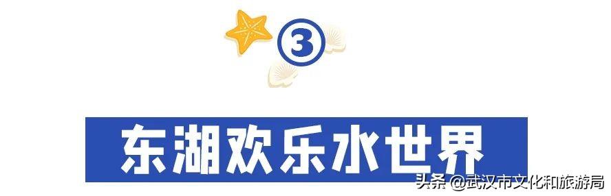 武汉市内第一座超大水上乐园②青少年宫水上世界第一座超大水上乐园  第12张