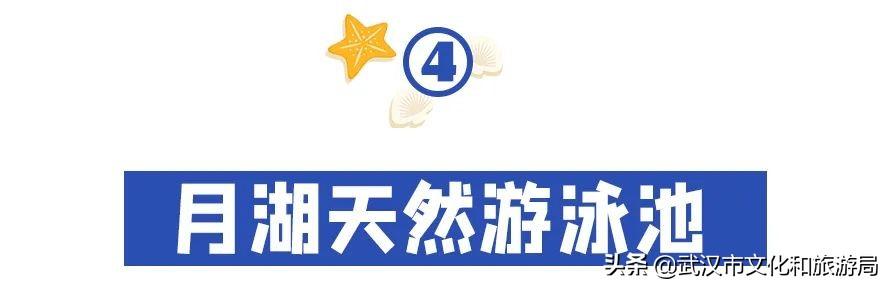 武汉市内第一座超大水上乐园②青少年宫水上世界第一座超大水上乐园  第16张