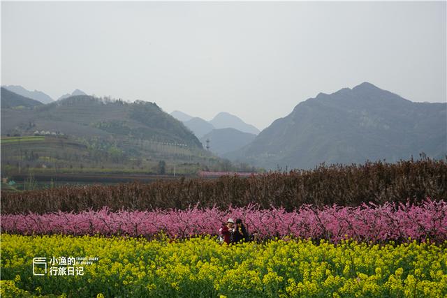 阳明山必逛的景点有哪些偷偷告诉你  第7张