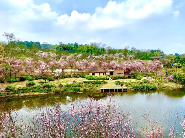 西安周边游｜在这家宝藏露营地  第1张