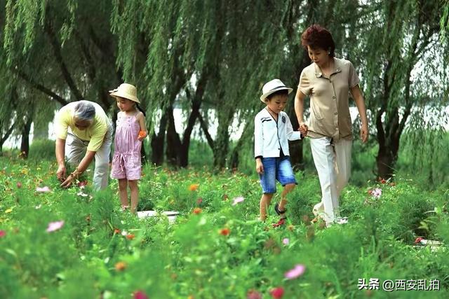 西安有处休闲游玩散心的免费湿地公园推荐西安市休闲娱乐的地方推荐  第7张