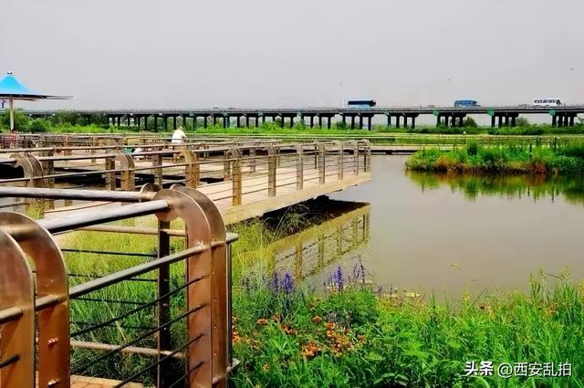 西安有处休闲游玩散心的免费湿地公园推荐西安市休闲娱乐的地方推荐  第12张