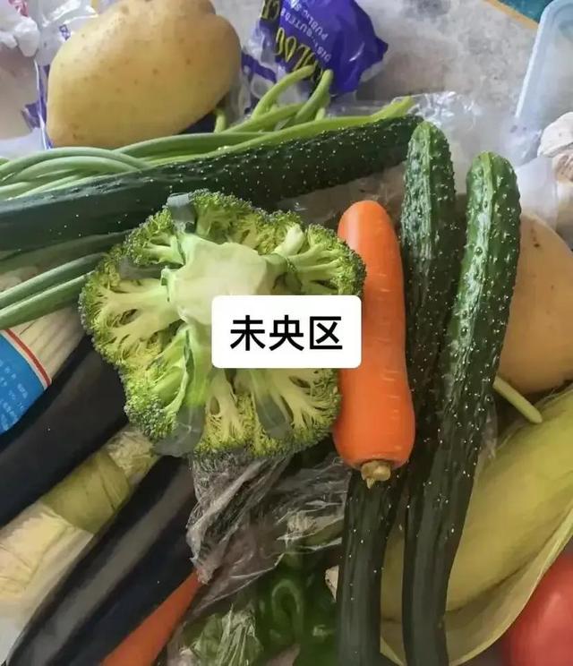 西安菜，西安各区免费菜对比的知识（西安菜西安菜长安区也需要啊，也是天天配合核酸，天天不让出门）  第2张