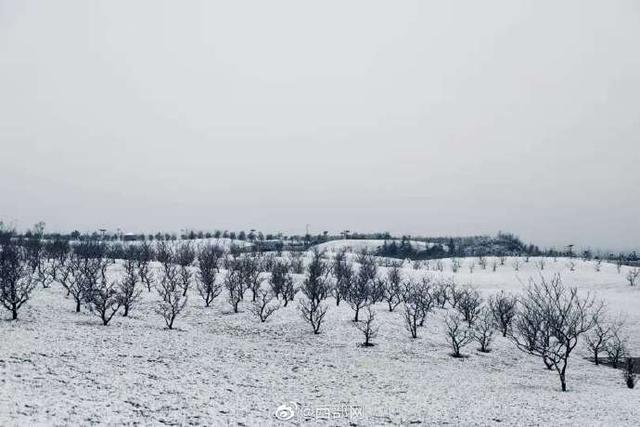 西安下雪，西安又下雪了美如水墨画（西安下雪陕西的雪景有多美）  第1张