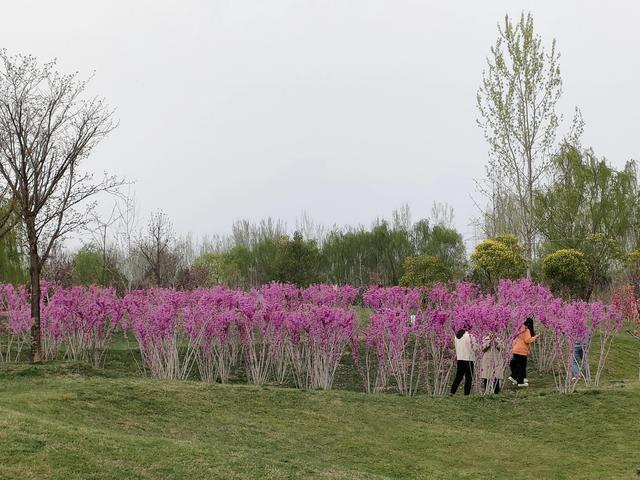 西安休闲娱乐胜地(西安沣河梁家滩运动公园)  第45张