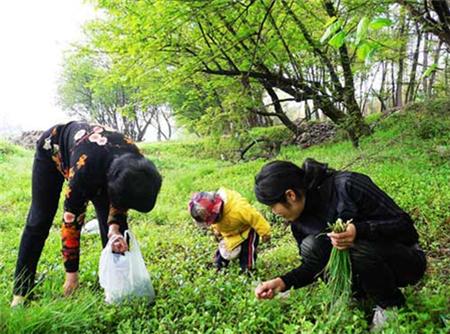 西安旅游攻略：西安旅游攻略  第3张