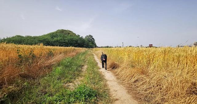 西安旅游攻略：西安旅游攻略  第14张