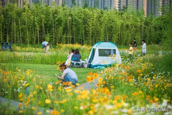 西安旅游攻略：西安旅游攻略「西安休闲景点西安休闲景点西安浐灞国家湿地公园」  第2张