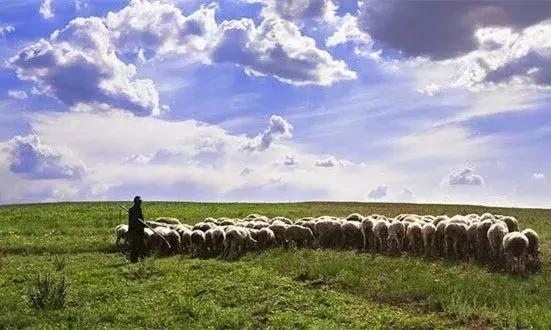 南昌这块宝地不仅自然风光秀丽、人文景观秀丽、人文景观众多「南昌、南昌、南昌、南昌、南昌、南昌旅游攻略」  第3张