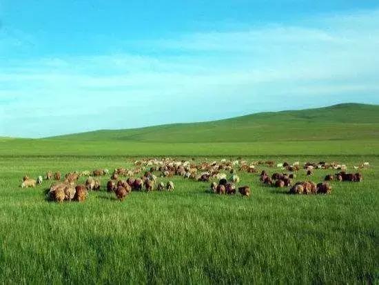 南昌这块宝地不仅自然风光秀丽、人文景观秀丽、人文景观众多「南昌、南昌、南昌、南昌、南昌、南昌旅游攻略」  第7张