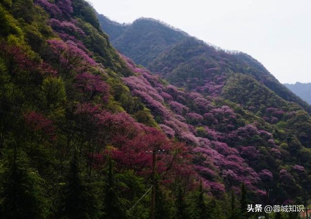 陕西西安周边7大自然景区，位于西安周边，青木川古镇青木川古镇「西安十大旅游景点」  第8张