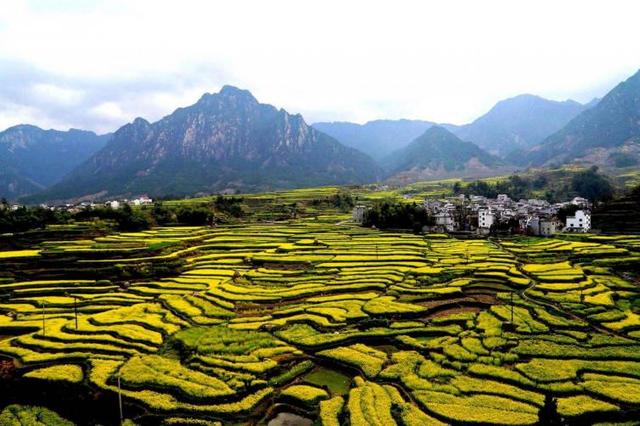 西安周边踏青好地方秦岭大寺中国山茱萸古今驰名感人「西安周边自驾游攻略」  第3张