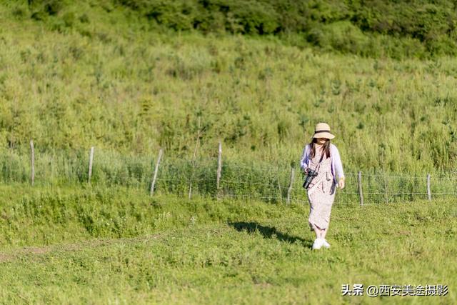 西安溜达溜达溜达溜达，四天时间，有没有西安地头蛇给个旅行体验「西安户外旅游攻略」  第66张